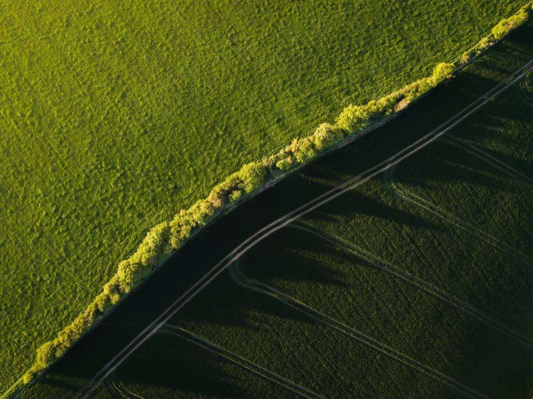 Top-down aerial view of cultivated field parcels with visible boundaries