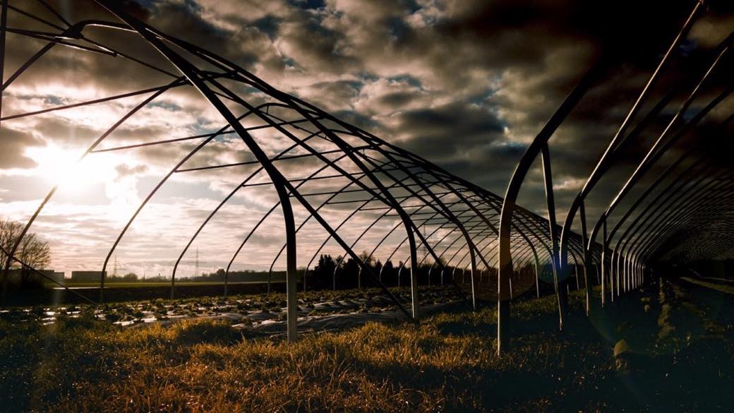 High tunnel greenhouse over rows of planting beds