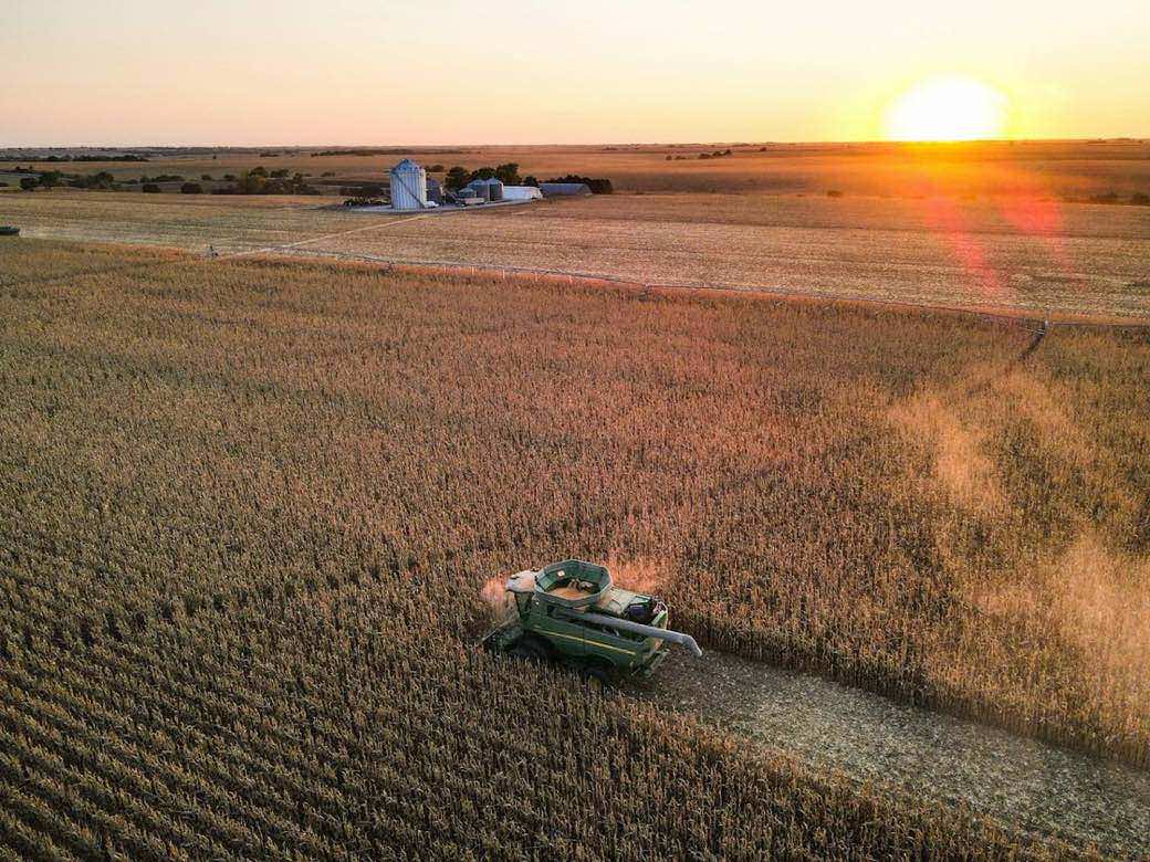Combine harvesting a grain field at sunset beside grain bins